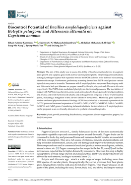 Biocontrol Potential of Bacillus Amyloliquefaciens Against Botrytis Pelargonii and Alternaria Alternata on Capsicum Annuum