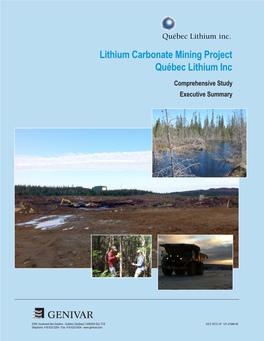 Lithium Carbonate Mining Project Québec Lithium Inc