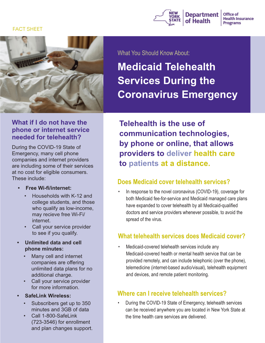 English Fact Sheet Telehealth