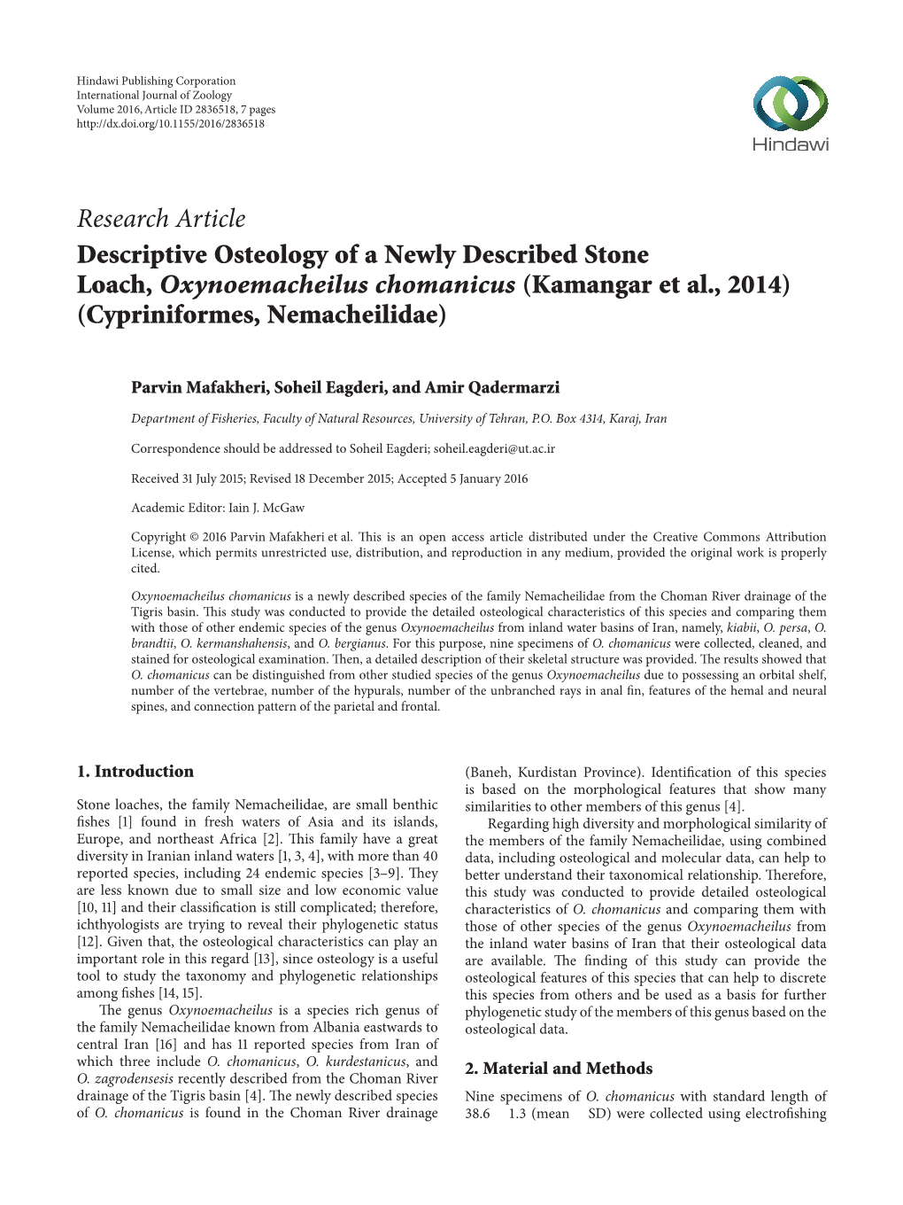 Descriptive Osteology of a Newly Described Stone Loach, Oxynoemacheilus Chomanicus (Kamangar Et Al., 2014)(Cypriniformes, Nemacheilidae)