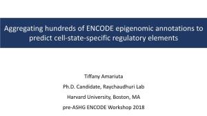 Aggregating Hundreds of ENCODE Epigenomic Annotations to Predict Cell-State-Specific Regulatory Elements