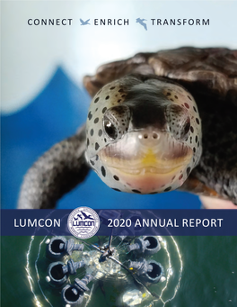 2020 Annual Report Lumcon 2020 Annual Report