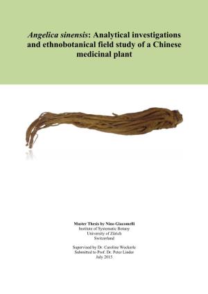 Angelica Sinensis: Analytical Investigations and Ethnobotanical Field Study of a Chinese Medicinal Plant