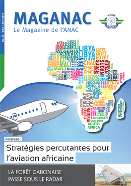 Stratégies Percutantes Pour L'aviation Africaine