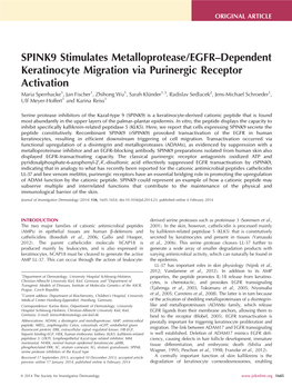 SPINK9 Stimulates Metalloprotease/EGFR–Dependent