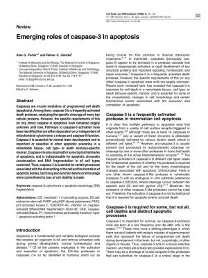 Emerging Roles of Caspase-3 in Apoptosis