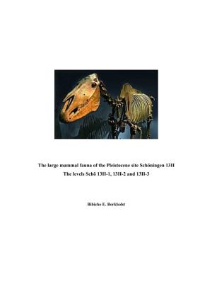 The Large Mammal Fauna of the Palaeolithic Site Schöningen 13II