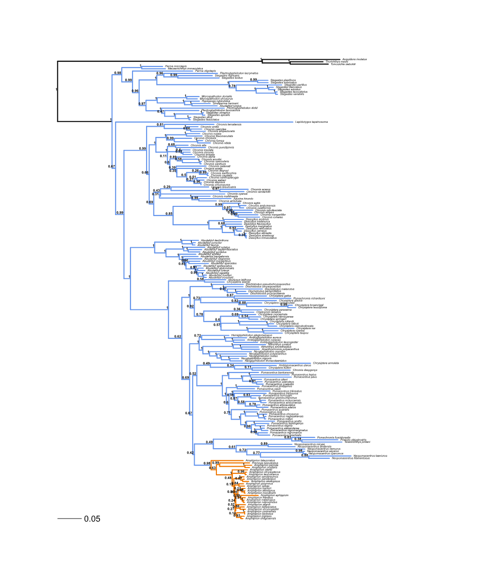 R Graphics Output