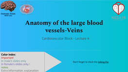 Anatomy of the Large Blood Vessels-Veins