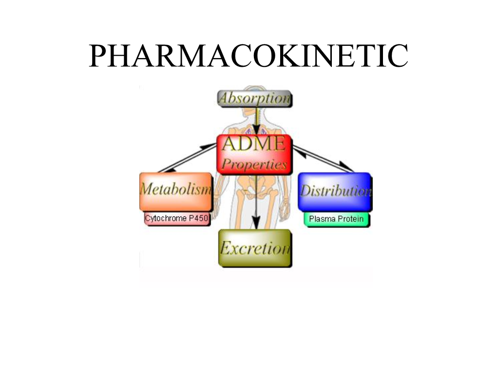 Pharmacocinétique Suite: Métabolisme Et Élimination Rénale