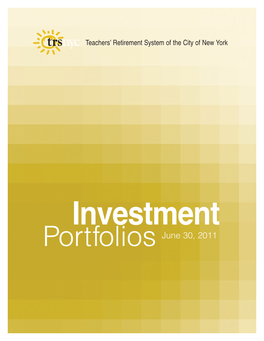 Investment Portfolio 2011
