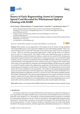 Source of Early Regenerating Axons in Lamprey Spinal Cord Revealed by Wholemount Optical Clearing with BABB