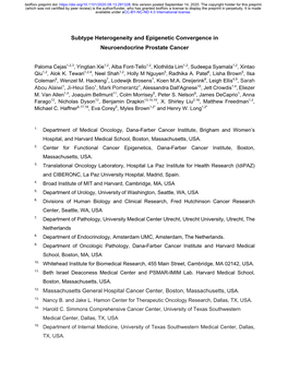 Subtype Heterogeneity and Epigenetic Convergence in Neuroendocrine Prostate Cancer