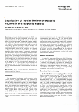 Localization of Insulin-Like Immunoreactive Neurons in the Rat Gracile Nucleus