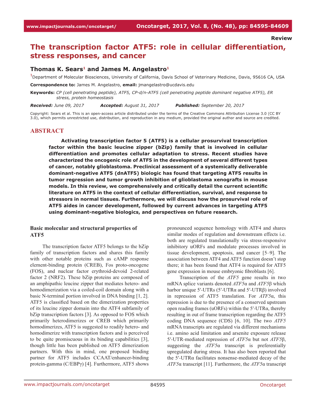 Role in Cellular Differentiation, Stress Responses, and Cancer