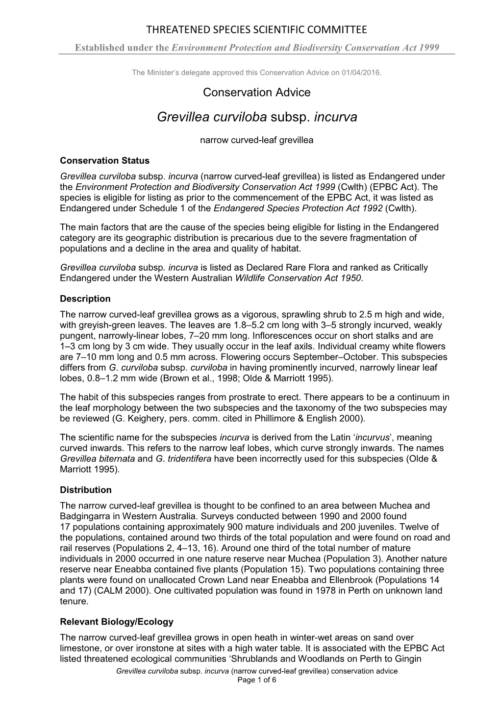 Conservation Advice Grevillea Curviloba Subsp. Incurva Narrow