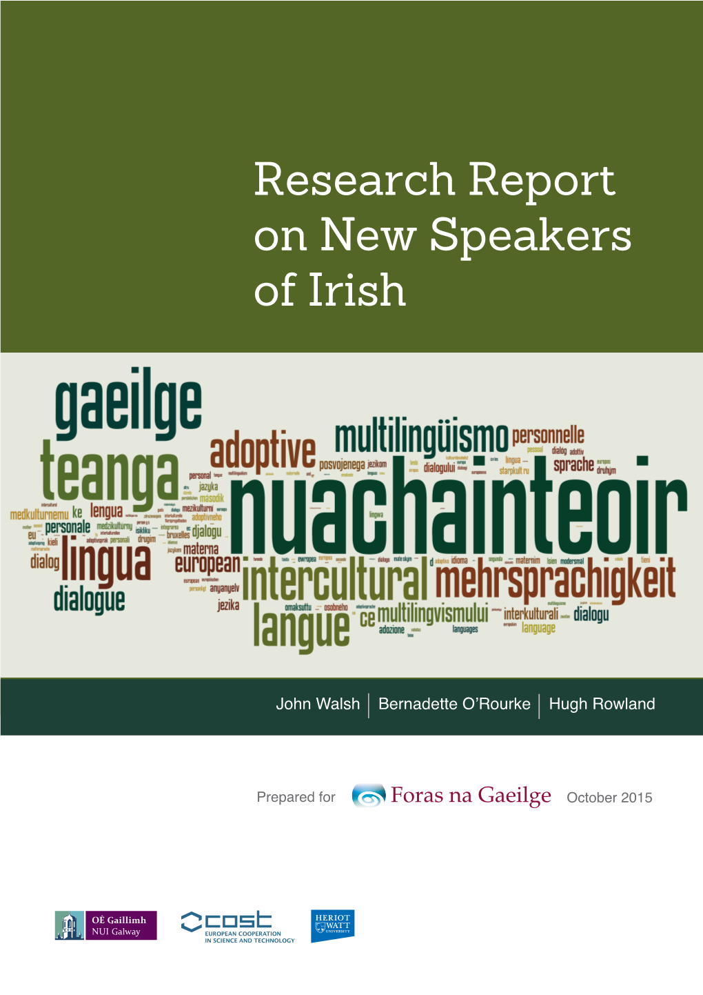 Research Report on New Speakers of Irish