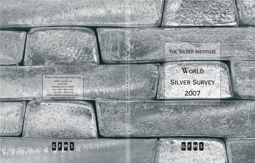 2007 World Silver Survey