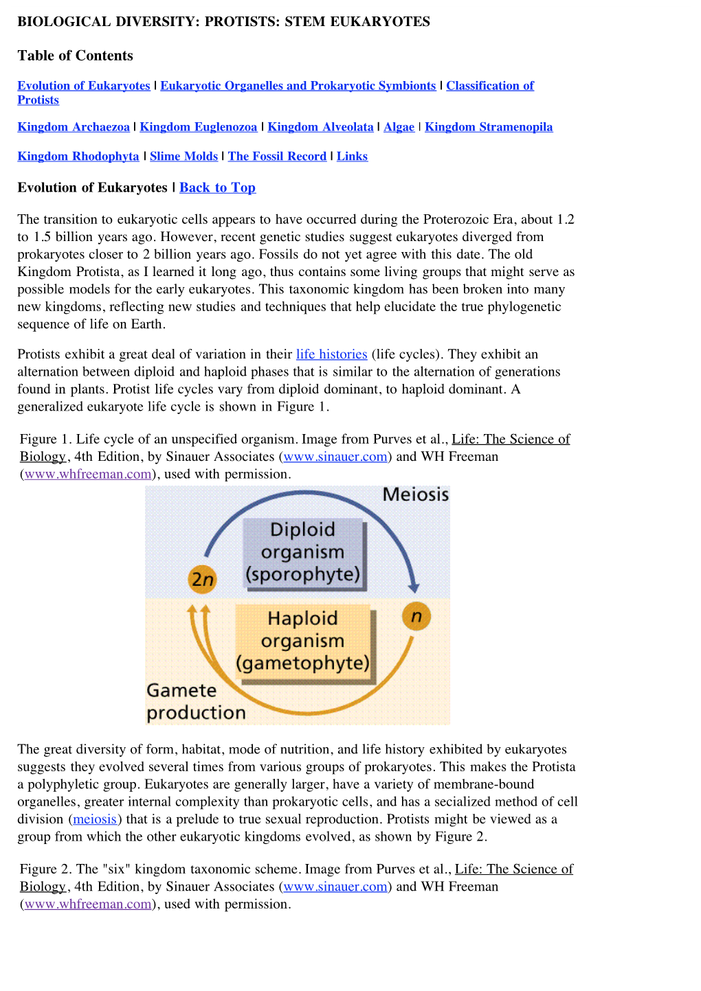 Biological Diversity 3