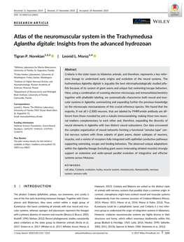 Atlas of the Neuromuscular System in the Trachymedusa Aglantha Digitale: Insights from the Advanced Hydrozoan