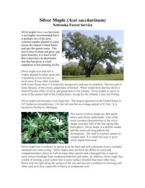 Silver Maple (Acer Saccharinum) Nebraska Forest Service