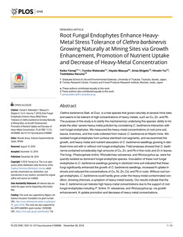 Root Fungal Endophytes Enhance Heavy-Metal Stress Tolerance of C