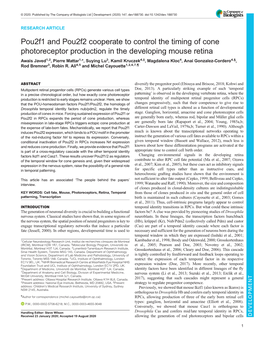 Pou2f1 and Pou2f2 Cooperate to Control the Timing of Cone