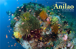 Anilao — Best of Both Worlds Text and Photos by Steve Jones