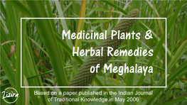 Medicinal Plants & Herbal Remedies of Meghalaya
