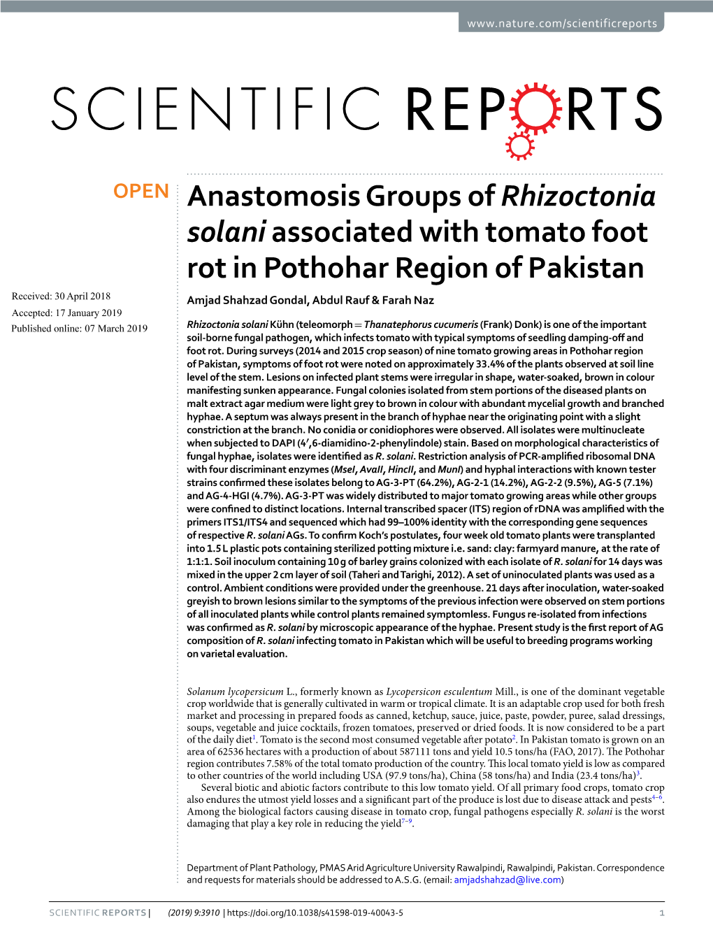 Anastomosis Groups of Rhizoctonia Solani Associated with Tomato Foot