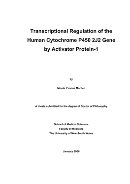Transcriptional Regulation of the Human Cytochrome P450 2J2 Gene by Activator Protein-1