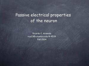 Passive Electrical Properties of the Neuron