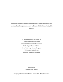 A Thesis Submitted to the College Of
