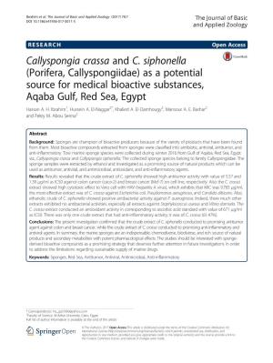 Callyspongia Crassa and C. Siphonella (Porifera, Callyspongiidae) As a Potential Source for Medical Bioactive Substances, Aqaba Gulf, Red Sea, Egypt Hassan A