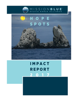H O P E Spots Impact Report 2 0