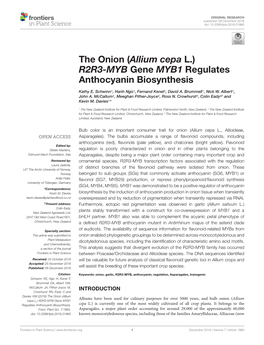 The Onion (Allium Cepa L.) R2R3-MYB Gene MYB1 Regulates Anthocyanin Biosynthesis