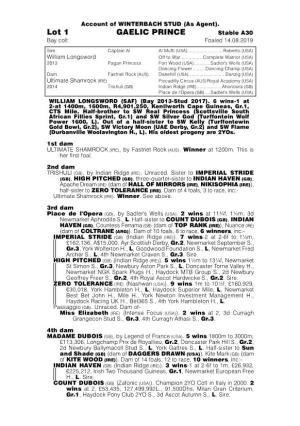 Lot 1 GAELIC PRINCE Stable A30 Bay Colt Foaled 14.08.2019