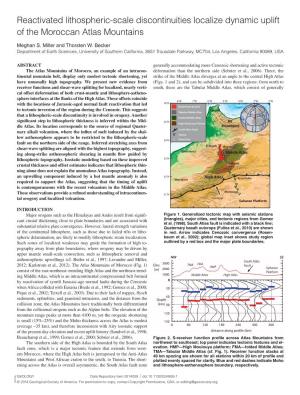Reactivated Lithospheric-Scale Discontinuities Localize Dynamic Uplift of the Moroccan Atlas Mountains