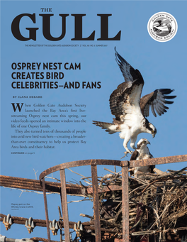 Osprey Nest Cam Creates Bird Celebrities—And Fans