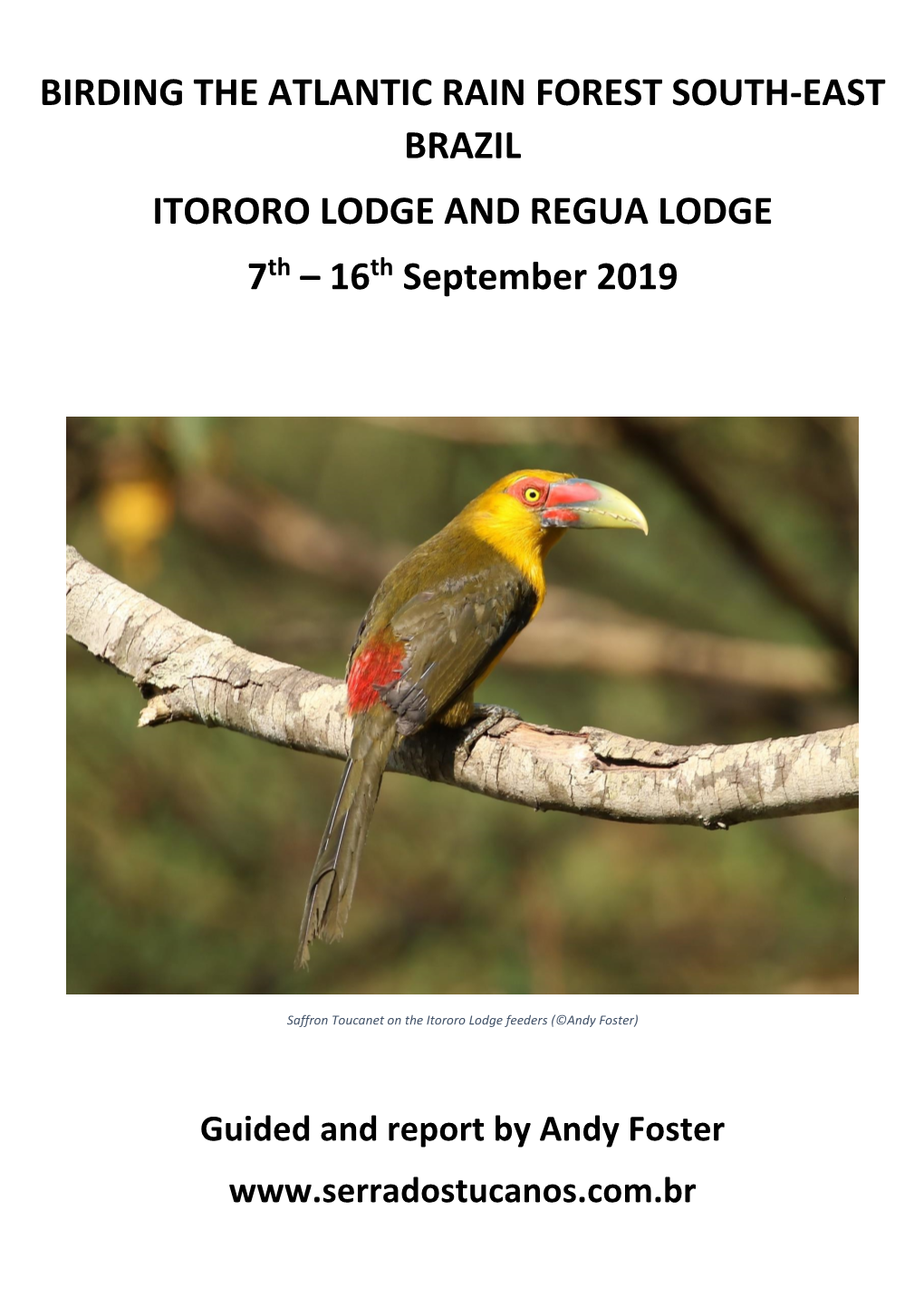 BIRDING the ATLANTIC RAIN FOREST SOUTH-EAST BRAZIL ITORORO LODGE and REGUA LODGE 7Th – 16Th September 2019