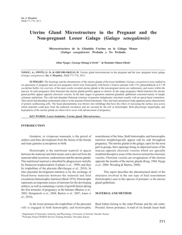 Uterine Gland Microstructure in the Pregnant and the Non-Pregnant Lesser Galago (Galago Senegalensis)