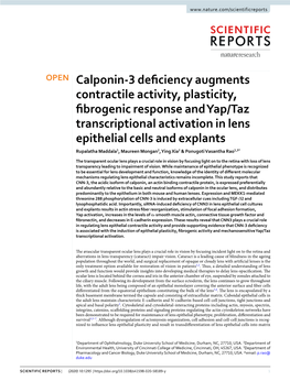 Calponin-3 Deficiency Augments Contractile Activity, Plasticity