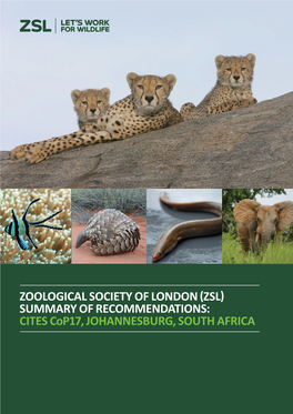 CITES Cop17, JOHANNESBURG, SOUTH AFRICA