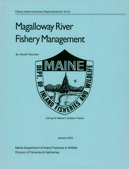 Magalloway River Fishery Management