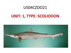 US04CZOO21 UNIT: 1, TYPE: SCOLIODON Introductoion