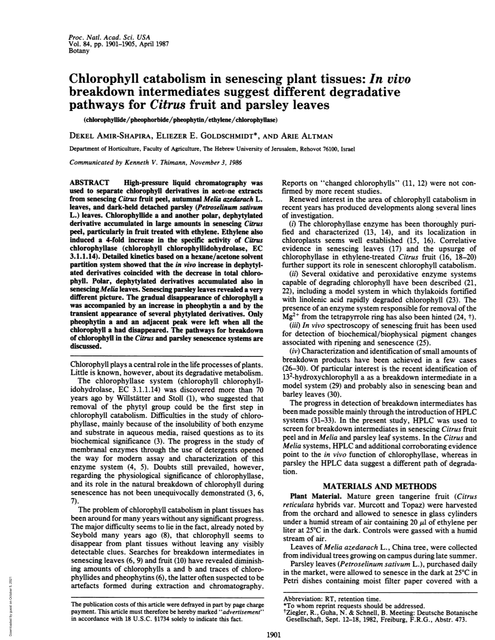 Chlorophyll Catabolism in Senescing Plant Tissues