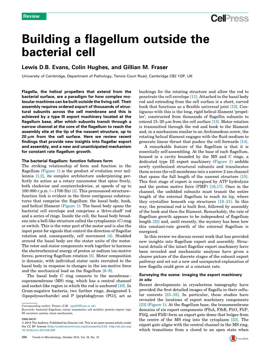 Building a Flagellum Outside the Bacterial Cell