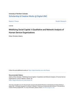Mobilizing Social Capital: a Qualitative and Network Analysis of Human Service Organizations