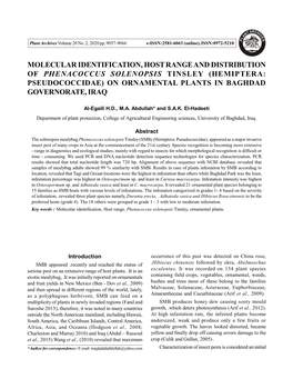 Molecular Identification, Host Range and Distribution of Phenacoccus Solenopsis Tinsley (Hemiptera: Pseudococcidae) on Ornamental Plants in Baghdad Governorate, Iraq