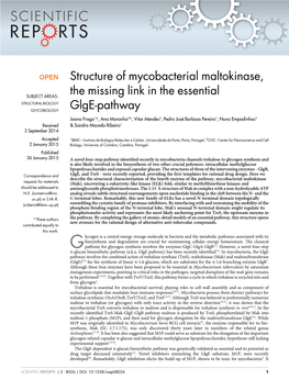 Structure of Mycobacterial Maltokinase, the Missing Link in the Essential Glge-Pathway